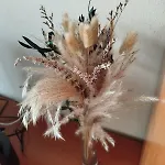 El Dejo * Onís